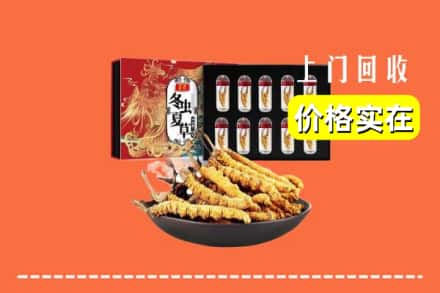 乐山市峨眉山回收冬虫夏草